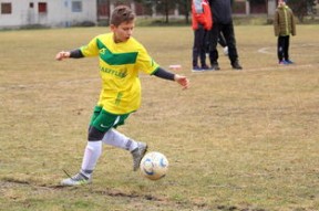 开云·体育官网-中国足球职业联赛推广数字化训练与分析，中国足球职业联赛体系