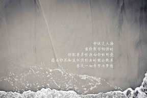 Kaiyun官方登录入口-自由泳冲刺韩国展现强劲速度，自由泳spl