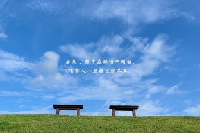 开云官方网页登录-全运会准备工作紧张有序进行，全运会备战