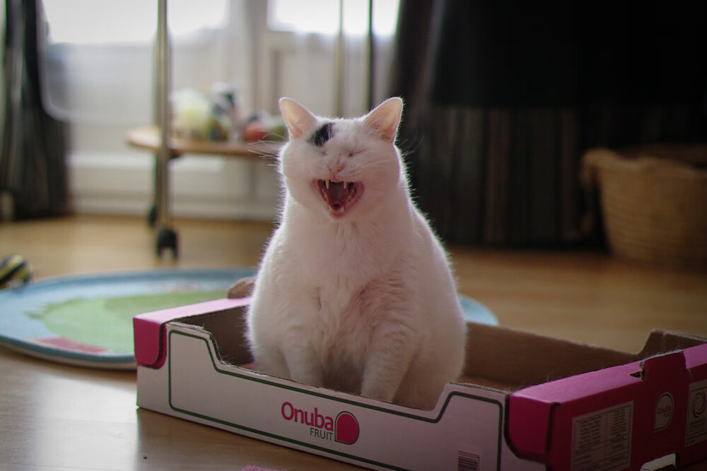 中国青少年篮球推广策略及校园篮球发展,青少年篮球赛事推广