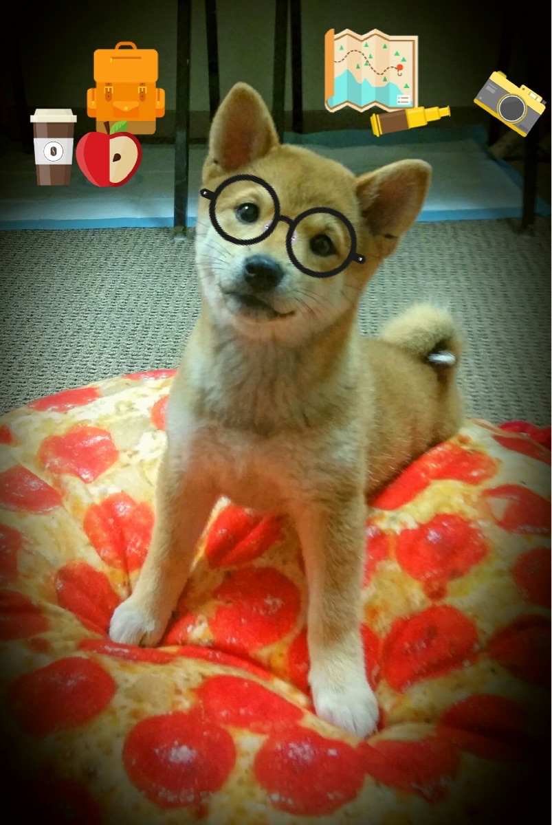 体育赛事对城市居民幸福感影响因素研究,体育赛事对城市旅游业的影响论文