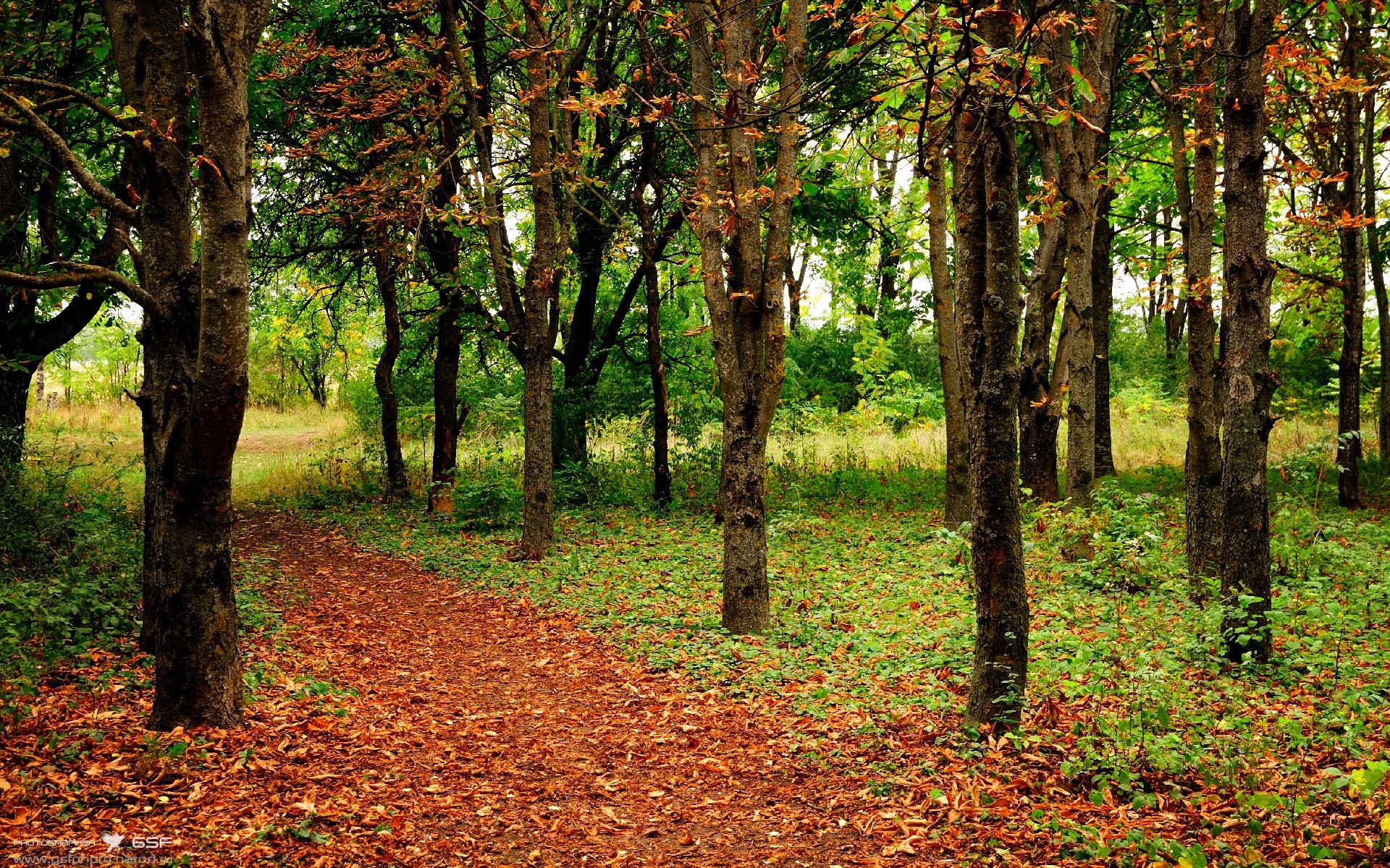 青少年体质提升工程专项监测数据研究,2020青少年体质健康发展报告