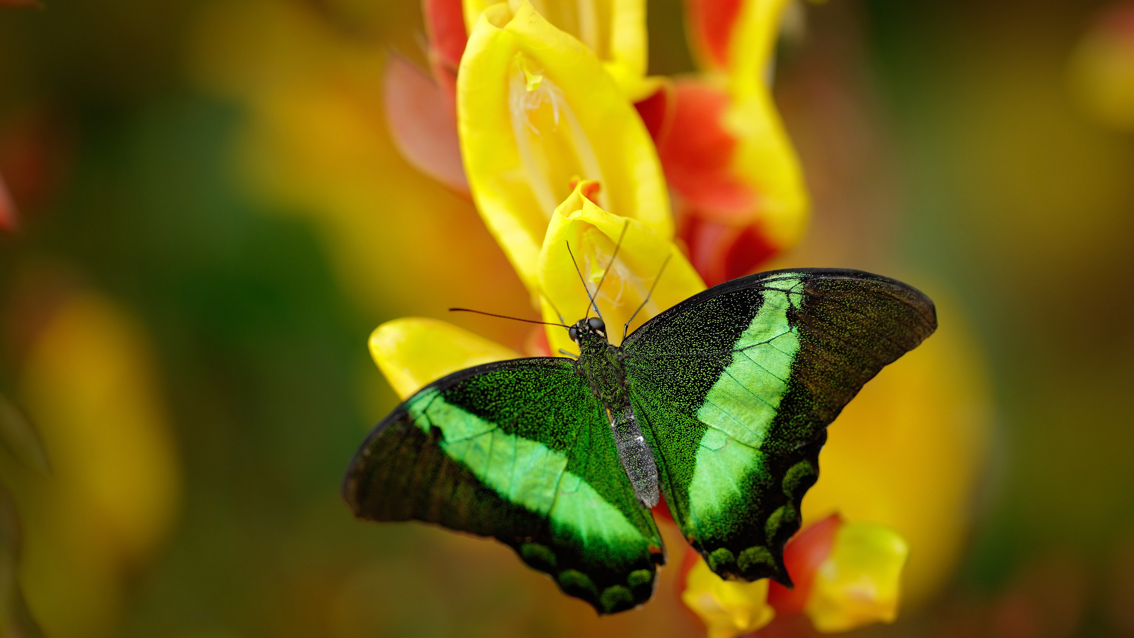 中国男篮重视比赛录像分析 持续优化战术,中国男篮的精彩比赛