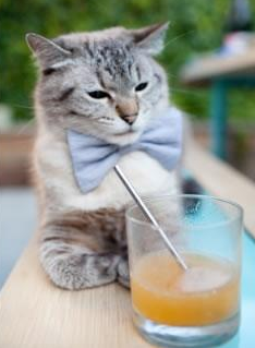 田径赛季新星涌现百米大战激烈,田径百米视频