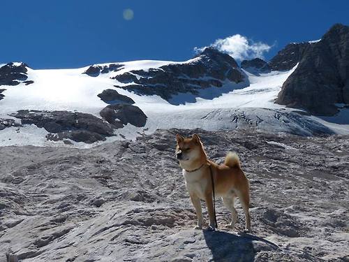 职业联赛传播渠道是否跟上新媒体节奏，职业联赛是谁举办的