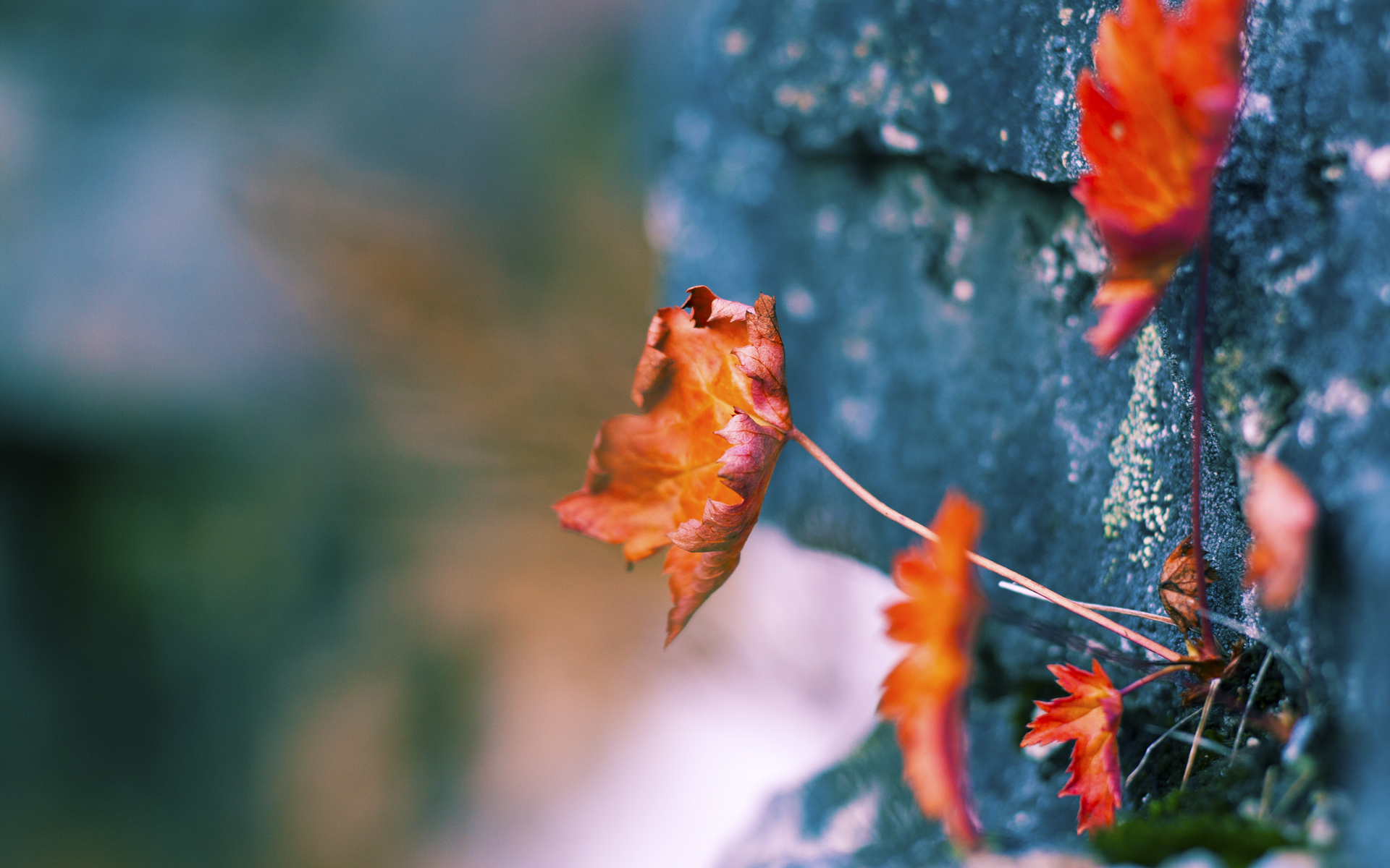 丁俊晖与师弟合练指导技术细节调整,丁俊晖!