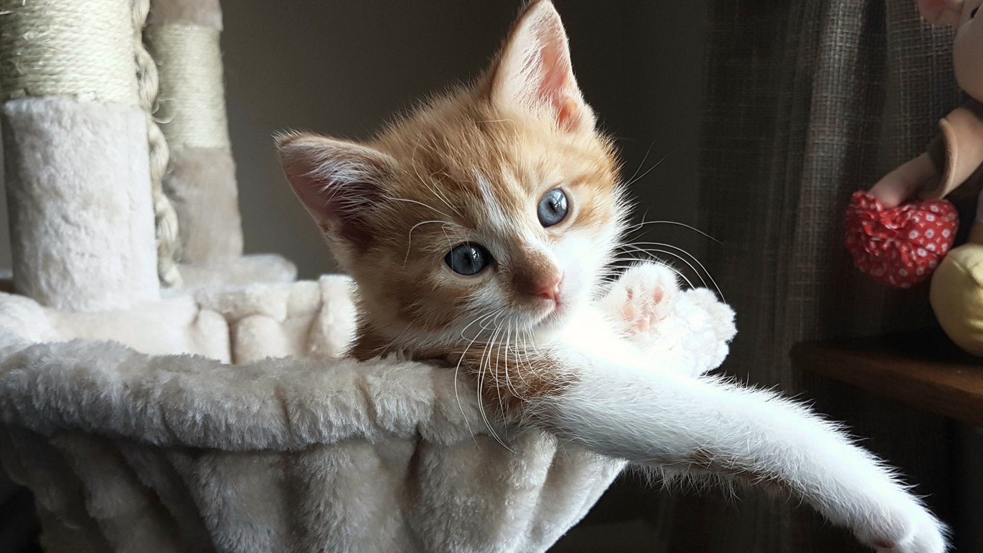 世界杯四强对决:战术谋略的终极较量,理解世界杯四强