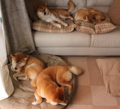 中国篮球鼓励退役球员参与青训指导工作,篮球退役人员