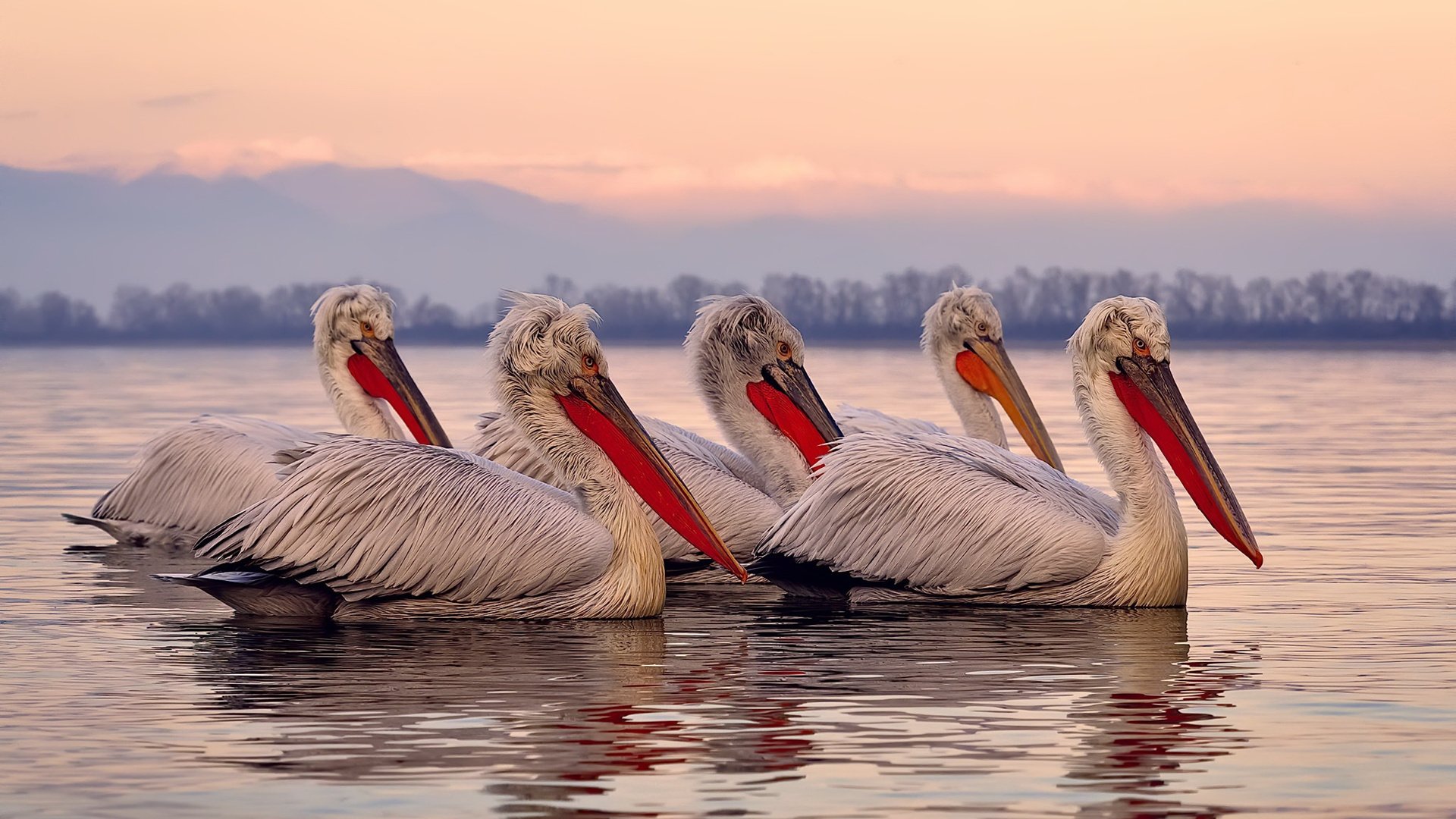 国家队引入比赛情绪引导课程培养抗压情绪管理