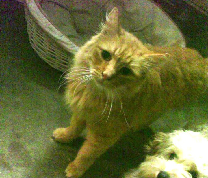 巴雷特:凭借高效的进攻组织,带领全黑队打出流畅配合,巴雷特m