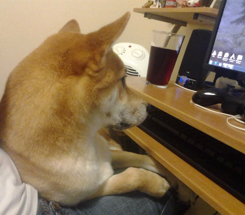 森林狼年轻阵容被外媒评为未来可期,森林狼新帅