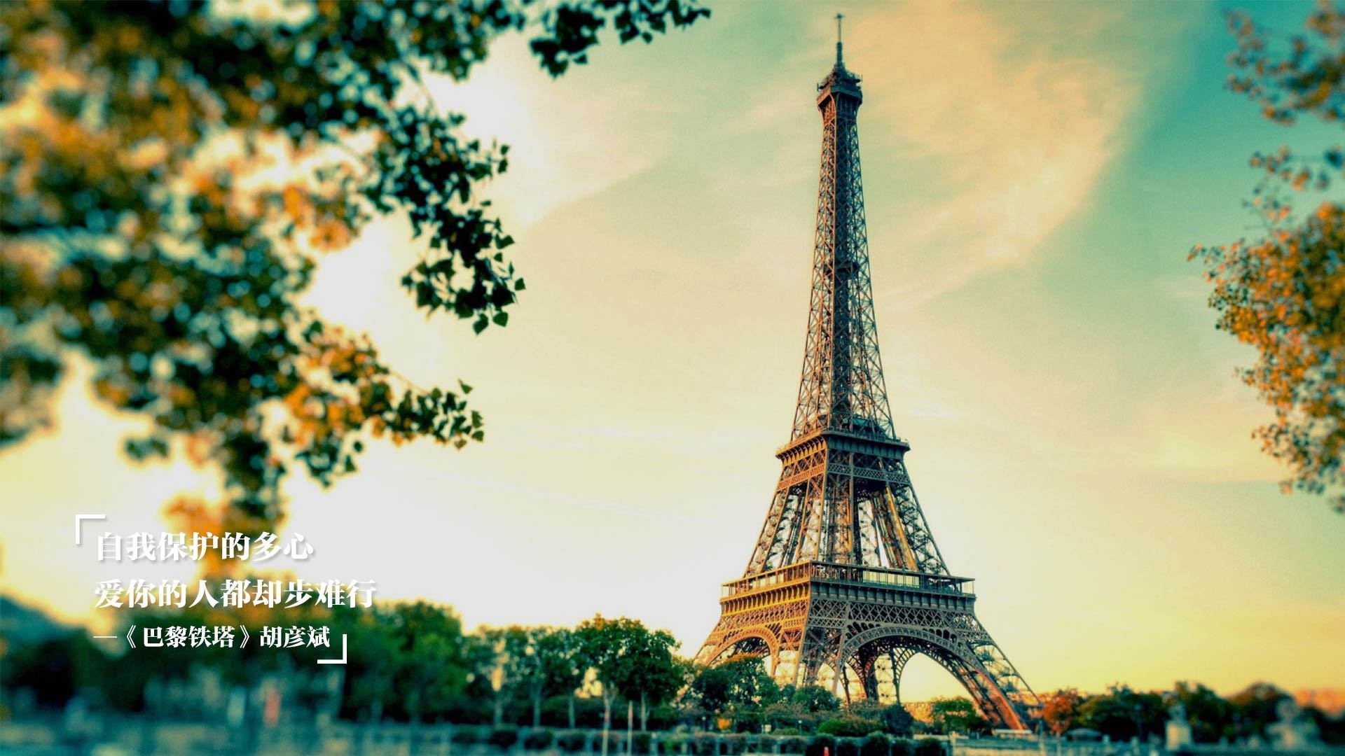 网球大师赛决赛精彩瞬间,网球大师赛决赛精彩瞬间图片