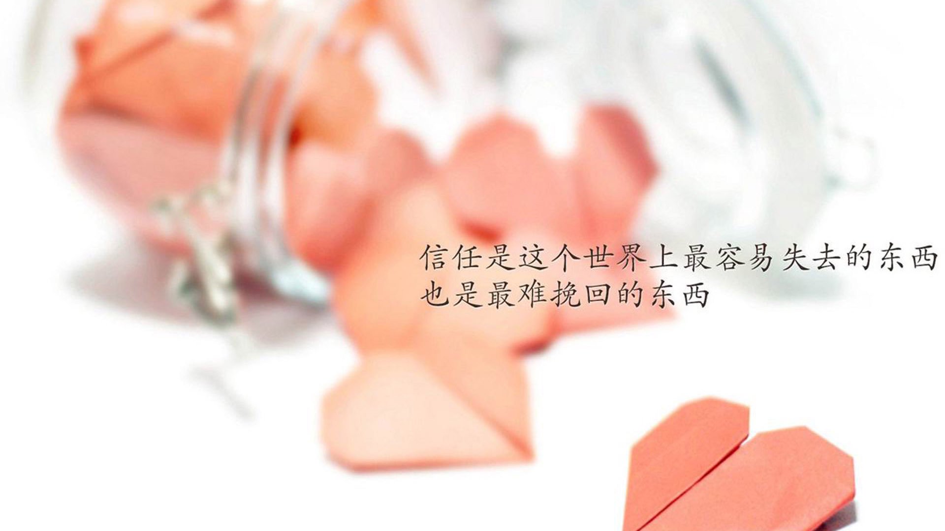 美洲杯战局激烈:逆境中焕发的斗志光芒,美洲杯解析