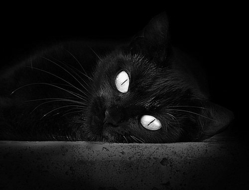 9.17起欧冠连战三天，皇马vs马赛拉开战幕！，皇马打马竞欧冠决赛