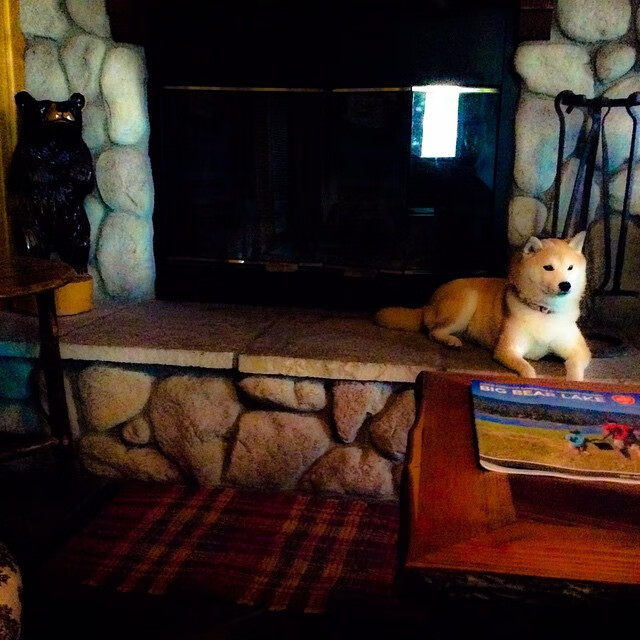 中国足球女足体能与心理双重挑战恢复机制，中国女足的训练